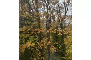 13949 Beavercreek Rd, Oregon City, OR 97045 - Photo 24