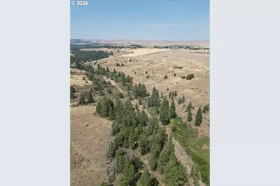 Xx Middle Rd., Bickleton, WA 99322 - Photo 6