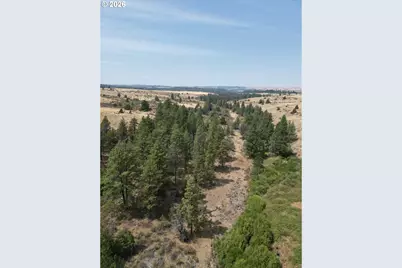 Xx Middle Rd., Bickleton, WA 99322 - Photo 10