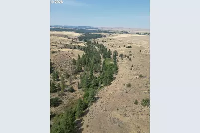 Xx Middle Rd., Bickleton, WA 99322 - Photo 4