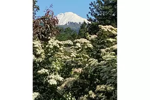 570 Toms Dr, Hood River, OR 97031 - Photo 2