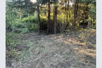 0 NE Jabez St, Winlock, WA 98596 - Photo 6
