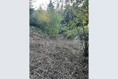 0 NE Jabez St, Winlock, WA 98596 - Photo 10