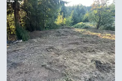 0 NE Jabez St, Winlock, WA 98596 - Photo 1