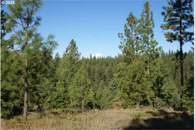 8 Ginger Way, Goldendale, WA 98620 - Photo 1