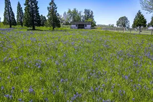 33685 Van Duyn Rd, Eugene, OR 97408 - Photo 46