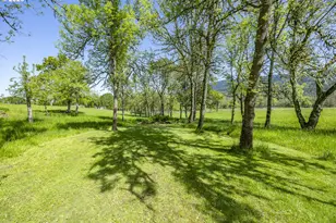 33685 Van Duyn Rd, Eugene, OR 97408 - Photo 42