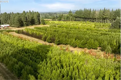 29630 SE Wheeler Rd, Boring, OR 97009 - Photo 12