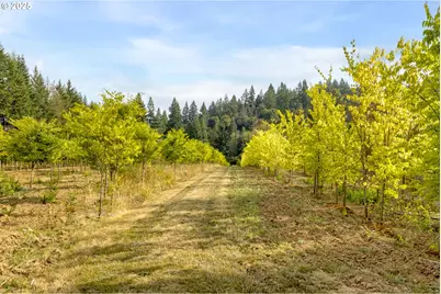 29630 SE Wheeler Rd, Boring, OR 97009 - Photo 44