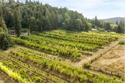 29630 SE Wheeler Rd, Boring, OR 97009 - Photo 48