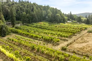 29630 SE Wheeler Rd, Boring, OR 97009 - Photo 48