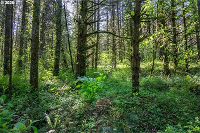 Sw Mountainside Dr, Cornelius, OR 97113 - Photo 1