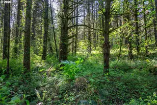 SW Mountainside Dr, Cornelius, OR 97113 - Photo 1