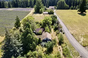5985 Boneboro Rd, Mount Hood Prkdl, OR 97041 - Photo 4