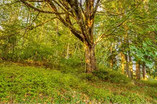 117 Riverscape Rd, Kalama, WA 98625 - Photo 40