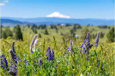 Morris Rd, Lyle, WA 98635 - Photo 22