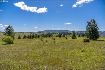Morris Rd, Lyle, WA 98635 - Photo 24