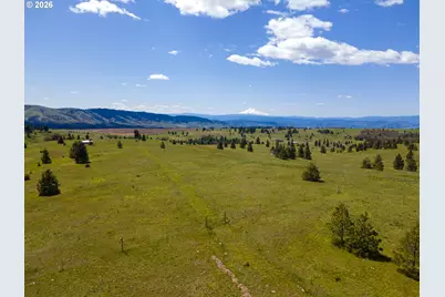 Morris Rd, Lyle, WA 98635 - Photo 40