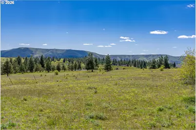 Morris Rd, Lyle, WA 98635 - Photo 30