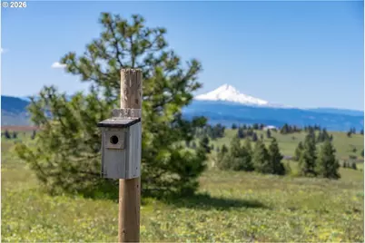Morris Rd, Lyle, WA 98635 - Photo 18