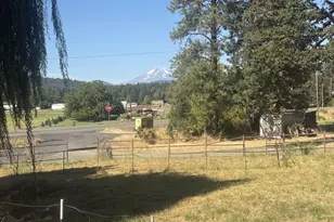 784 Wall St, Husum, WA 98623 - Photo 14