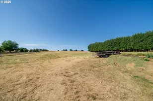 39903 Mertz Dr SE, Stayton, OR 97383 - Photo 40