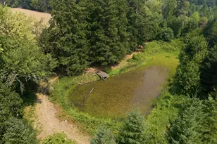 6945 NE Duniway Rd, Dayton, OR 97114 - Photo 36