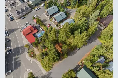 88887 E Government Camp Loop, Government Camp, OR 97028 - Photo 8