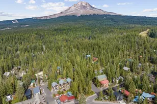 88887 E Government Camp Loop, Government Camp, OR 97028 - Photo 24