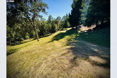214 Gray Squirrel Ct, Winchester, OR 97495 - Photo 10