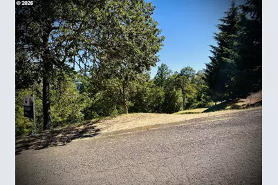 214 Gray Squirrel Ct, Winchester, OR 97495 - Photo 4