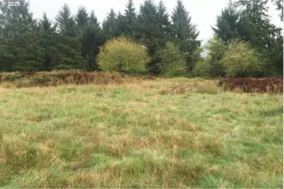 South Valley Ln #5, Naselle, WA 98638 - Photo 4