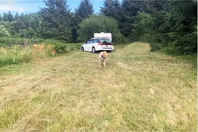 South Valley Ln #5, Naselle, WA 98638 - Photo 6