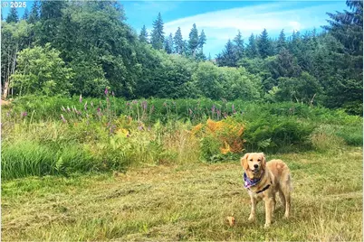 South Valley Ln #5, Naselle, WA 98638 - Photo 1