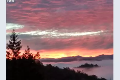 1645 Brozio Rd, Roseburg, OR 97471 - Photo 46