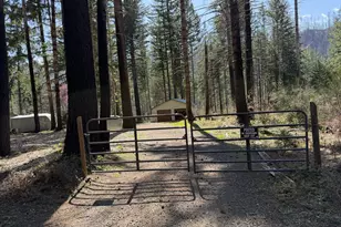 49400 Eagle Rock Pl, Vida, OR 97488 - Photo 36