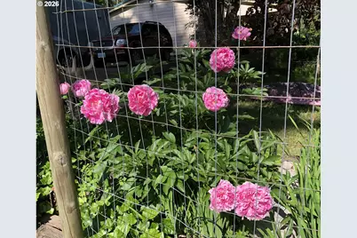 49400 Eagle Rock Pl, Vida, OR 97488 - Photo 38