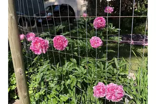 49400 Eagle Rock Pl, Vida, OR 97488 - Photo 38