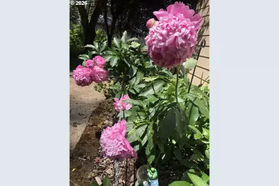 49400 Eagle Rock Pl, Vida, OR 97488 - Photo 46