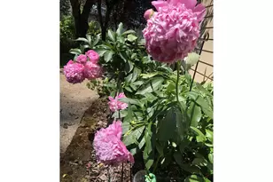 49400 Eagle Rock Pl, Vida, OR 97488 - Photo 46