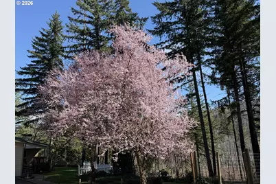 49400 Eagle Rock Pl, Vida, OR 97488 - Photo 4