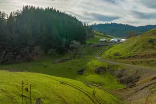 10181 N Umpqua Hwy, Roseburg, OR 97470 - Photo 6