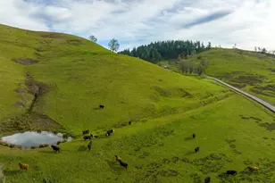 10181 N Umpqua Hwy, Roseburg, OR 97470 - Photo 32