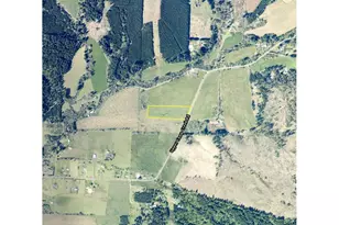 Upper Camp Creek Rd, Springfield, OR 97478 - Photo 28