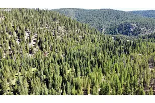 42000 Clear Crk Rd, Granite, OR 97877 - Photo 4