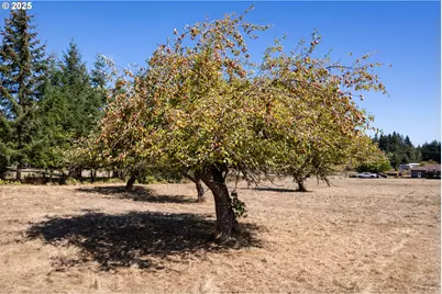 76521 Delena Mayger Rd, Rainier, OR 97048 - Photo 18