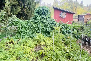 12885 S Union Hall Rd, Canby, OR 97013 - Photo 42