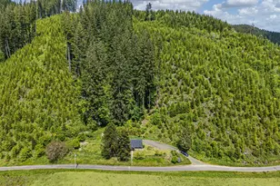19395 Rust Rd, Blachly, OR 97412 - Photo 44