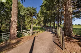 94915 Turnbow Ln, Junction City, OR 97448 - Photo 24