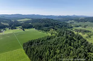 94915 Turnbow Ln, Junction City, OR 97448 - Photo 16